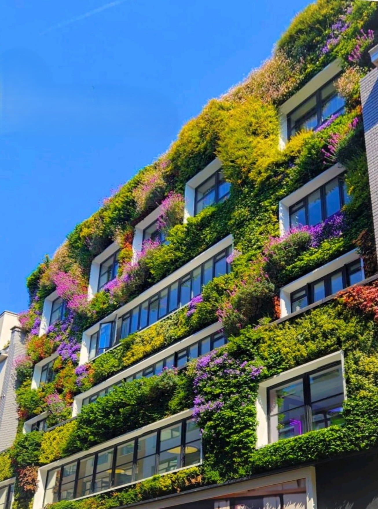 University of Leicester - BREEAM 'Excellent' Award